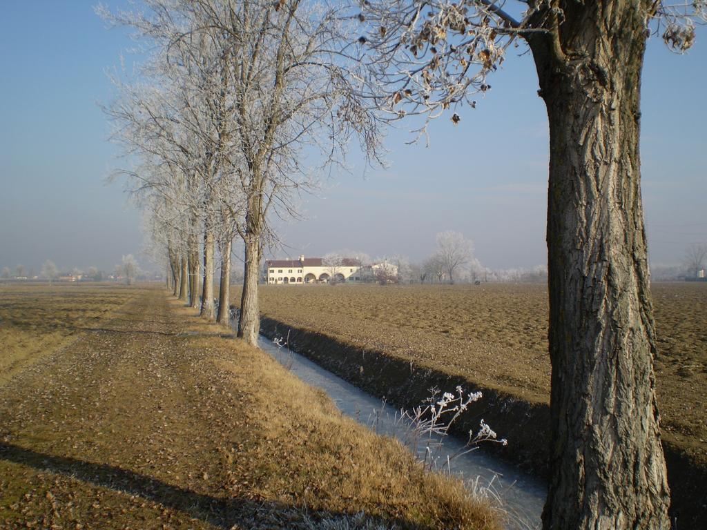 Il Rifugio Del Poeta Casa de hóspedes San Biagio di Callalta Exterior foto